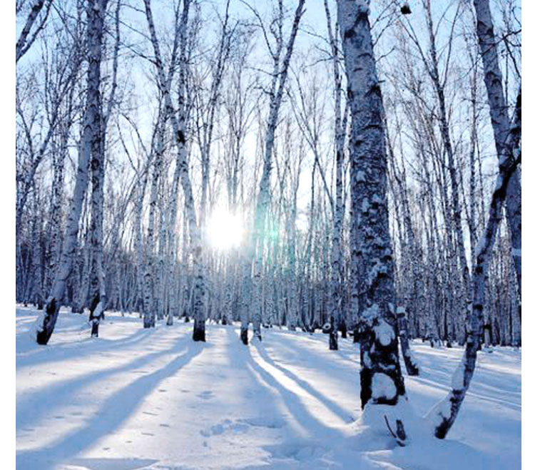 安康體育場木地板怎么分類