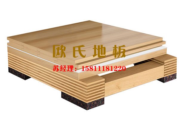 體育木地板結(jié)構(gòu),主副龍骨結(jié)構(gòu)系統(tǒng),運(yùn)動(dòng)木地板結(jié)構(gòu)系統(tǒng),籃球地板結(jié)構(gòu)系統(tǒng)