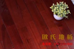 怎樣選購籃球木地板？
