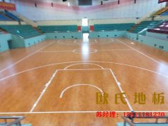 籃球館運(yùn)動(dòng)木地板的應(yīng)用特點(diǎn)