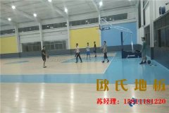 體育木地板滋生白蟻了怎么辦？