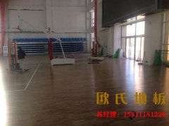 實木運動木地板的技術(shù)魅力