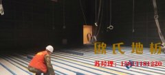 淺析運動木地板的三大特性、六項指標