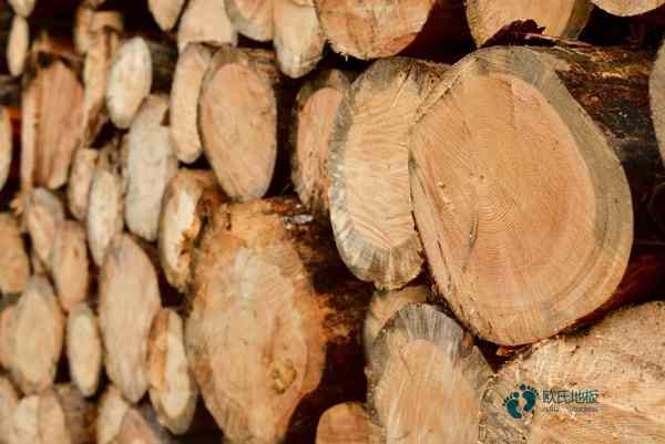 籃球場木地板價格是多少錢？